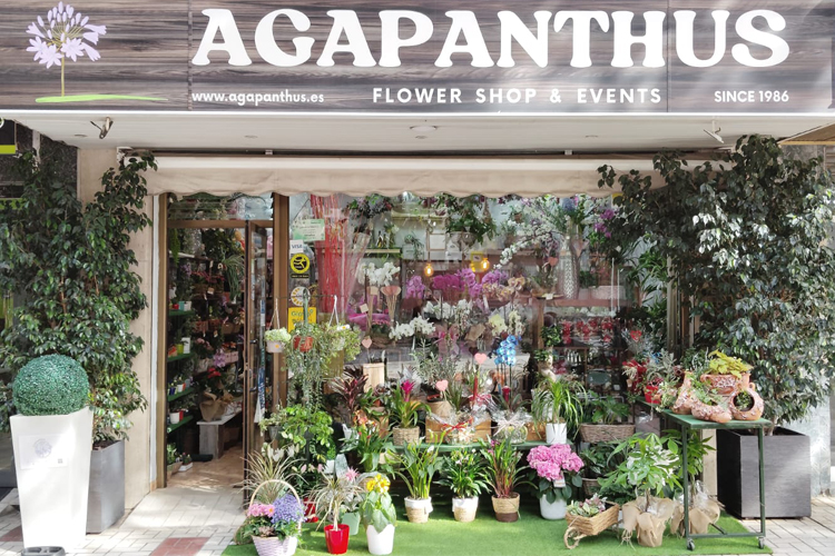 Agapanthus Flower Shop & Events