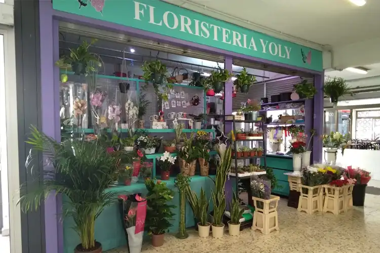 Floristería Yoly p.158